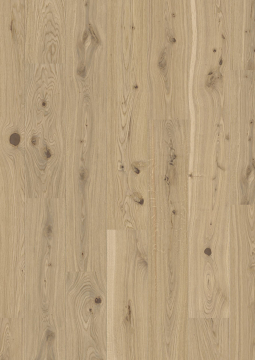 JOKA CALGARY 527 LD COMPACT – E9498 Eiche raw MIX Naturöl TWIN